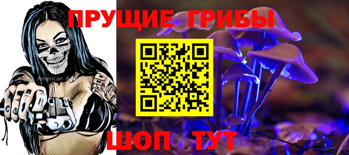 закладки  Вход с VPN  Дербент  Галлюциногенные грибы GOLDEN TEACHER 
