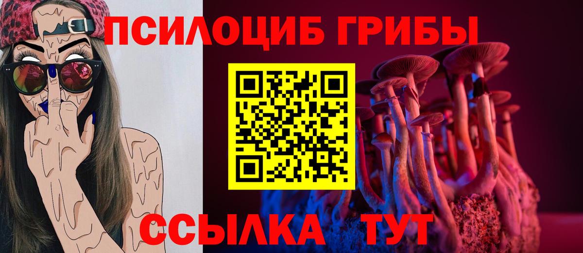 Псилоцибиновые грибы GOLDEN TEACHER Дербент